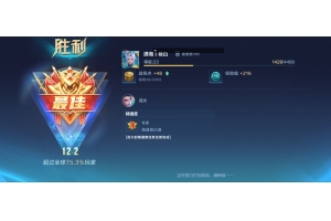 王者荣耀风美辅助-王者百里自瞄免费内透安卓版神器